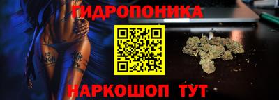 стаф Малоярославец