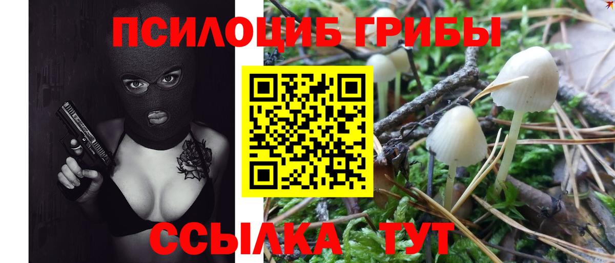 Галлюциногенные грибы Magic Shrooms Сургут